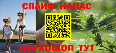 гашик Ливны