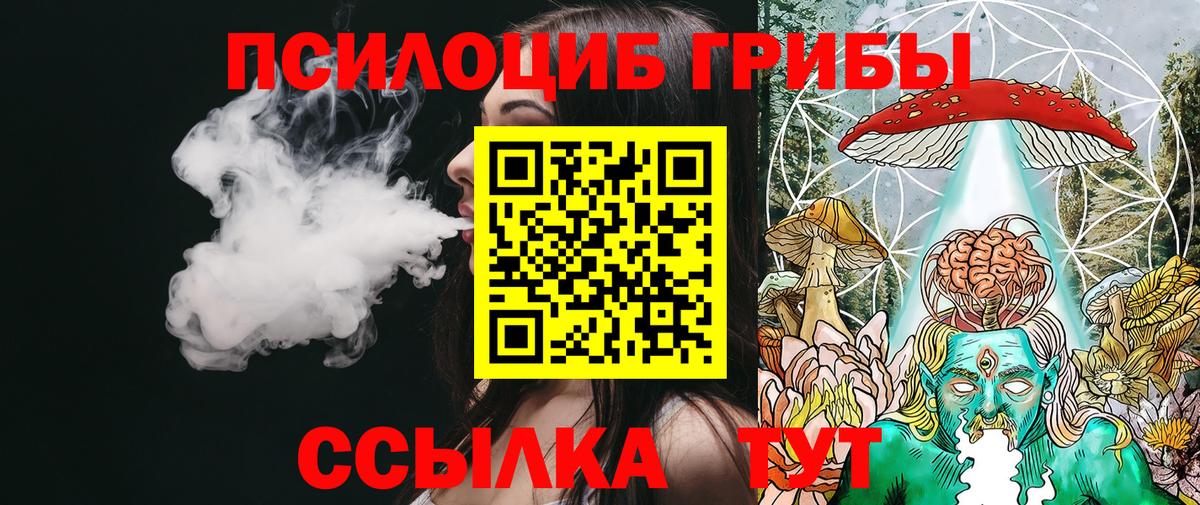 Галлюциногенные грибы GOLDEN TEACHER  Псилоцибиновые грибы Psilocybine cubensis  Заводоуковск  купить  сайты  Вход с VPN 